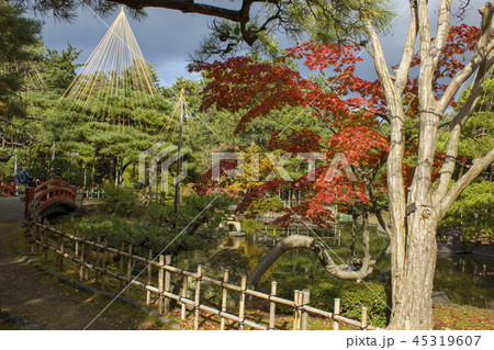 芦城公園 45319607