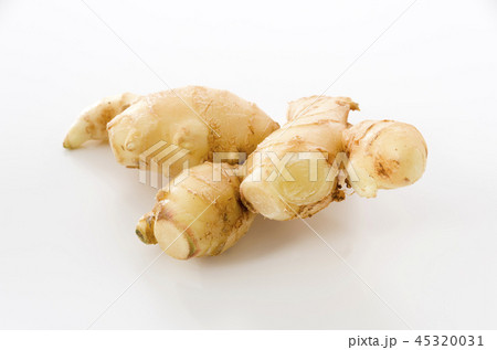 生姜 生姜 45320031