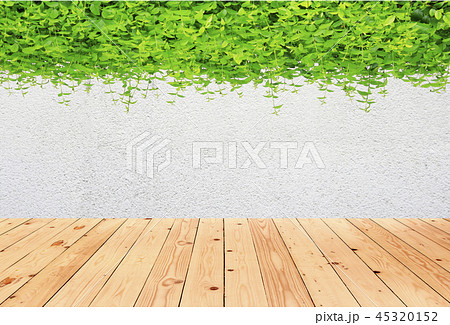 Concrete wall with green leaves and wood floor 45320152
