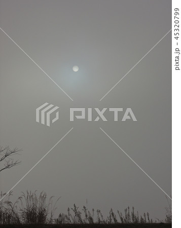 濃霧の中から見上げる太陽 45320799