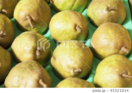 ラ・フランス 45321014