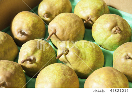 ラ・フランス 45321015