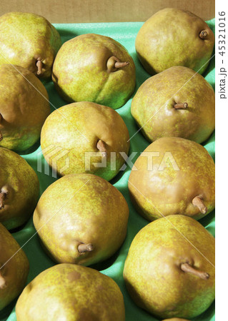 ラ・フランス 45321016