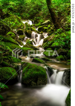 lush mossy creek side lush mossy creek side 45321503