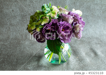 紫陽花とトルコキキョウ 紫陽花とトルコキキョウ 45323110