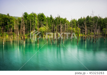 Blue pond 45323263