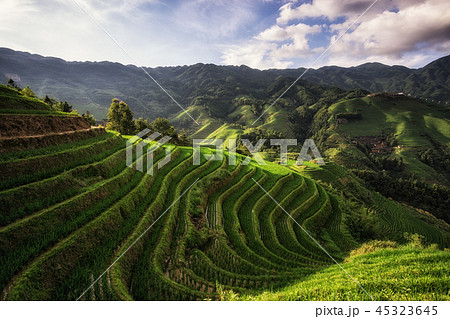 Longi rice terrace Longi rice terrace 45323645