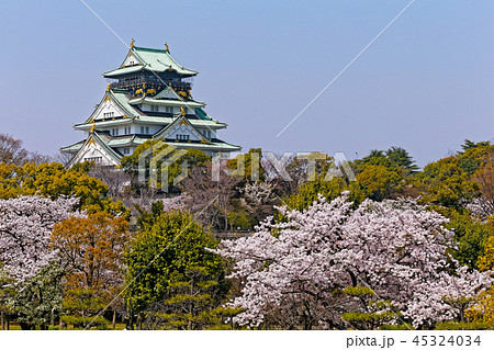 大阪城と桜 45324034