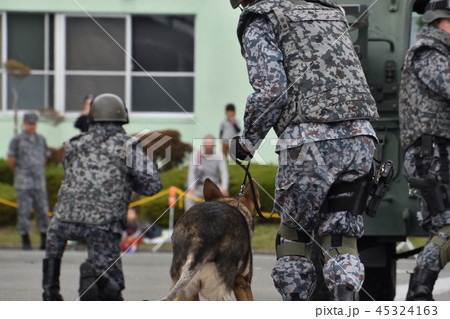 自衛官と警備犬 自衛官と警備犬 45324163