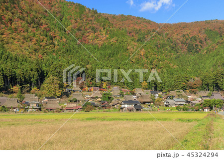 美山かやぶきの里　秋 45324294