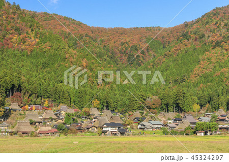 美山かやぶきの里　秋 45324297