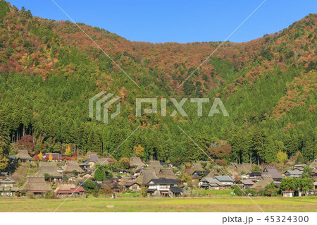 美山かやぶきの里　秋 45324300