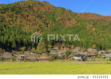 美山かやぶきの里　秋 45324303