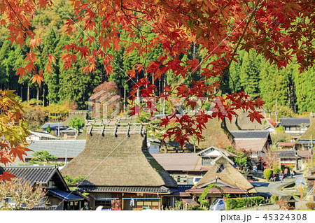 美山かやぶきの里　秋 45324308