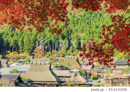 美山かやぶきの里　秋 45324309