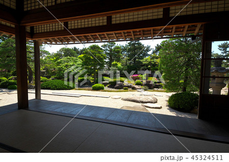 出雲文化伝承館庭園 45324511