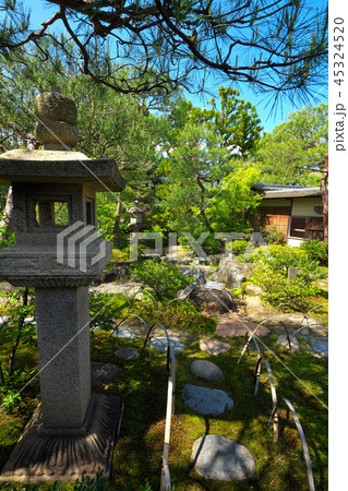 出雲文化伝承館庭園 45324520