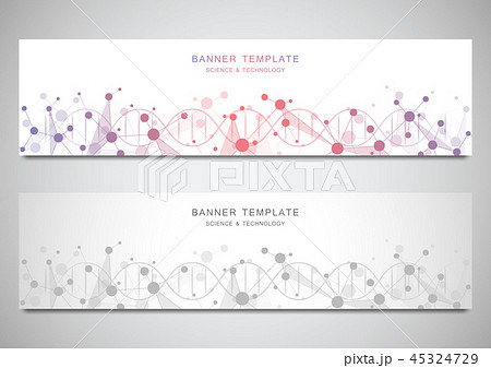 Vector banners and headers for site with DNA strand and molecular structure. Genetic engineering or Vector banners and headers for site with DNA strand and molecular structure. Genetic engineering or 45324729