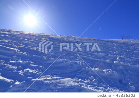 冬の天神山 天神尾根付近の雪景色 冬の天神山 天神尾根付近の雪景色 45326202