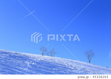 冬の天神山 天神尾根付近の雪景色 冬の天神山 天神尾根付近の雪景色 45326203