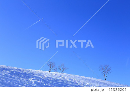 冬の天神山 天神尾根付近の雪景色 45326205