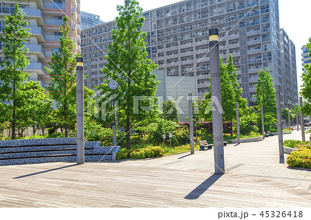 マンションのテラス 中庭 マンションのテラス 中庭 45326418