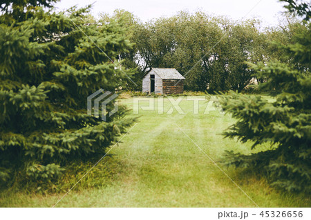 森の中 小屋 隠れ家 森の中 小屋 隠れ家 45326656