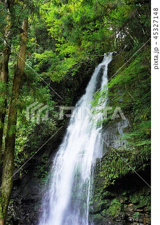 琵琶の滝（徳島・祖谷地方） 45327148