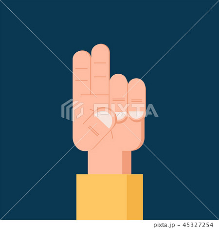 Number 2 two Flat icon. Isolated Vector symbol 45327254