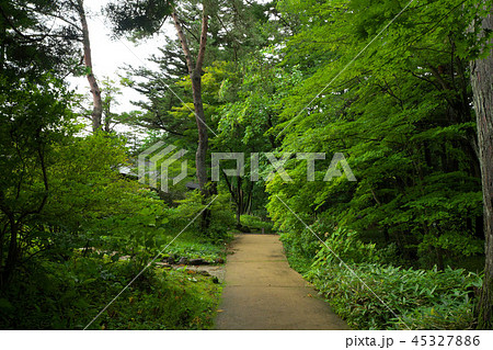 日光田母沢御用邸記念公園 日光田母沢御用邸記念公園 45327886