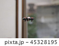 ドローンの玩具 45328195