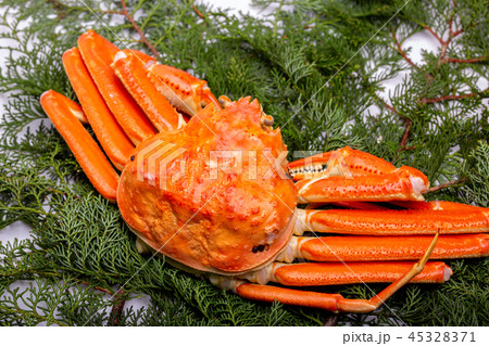 ズワイガニ 食材  ズワイガニ 食材  45328371