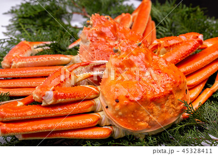 ズワイガニ 食材 ズワイガニ 食材 45328411