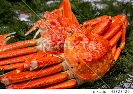 ズワイガニ　食材 45328420