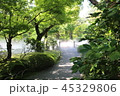 庭園 45329806