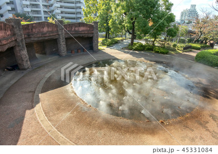 大森貝塚遺跡庭園 大森貝塚遺跡庭園 45331084