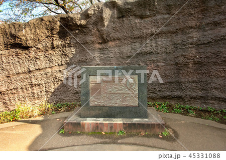 大森貝塚遺跡庭園 45331088