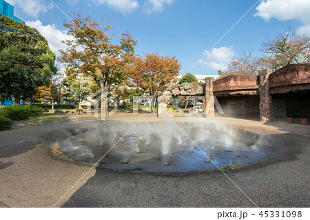 大森貝塚遺跡庭園 45331098