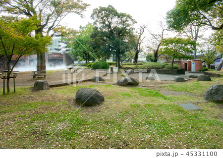 大森貝塚遺跡庭園 大森貝塚遺跡庭園 45331100