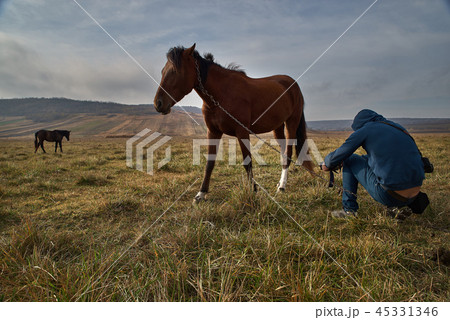 Tourist tourist in a blue sweatshirt with a camera photographs a curious horse. travel concept 45331346