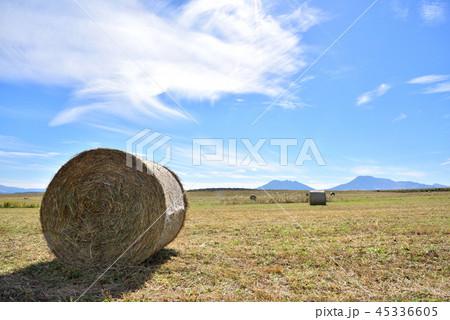牧草ロールと阿蘇の広い空 広大な阿蘇の秋風景 阿蘇の広い風景 牧草ロールと阿蘇の広い空 広大な阿蘇の秋風景 阿蘇の広い風景 45336605