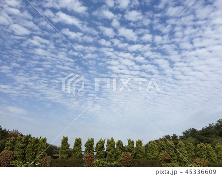 公園と空 45336609