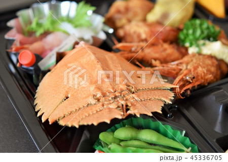 うちわえび　ゾウリエビ　素材　背景　　出水市　鹿児島県 45336705