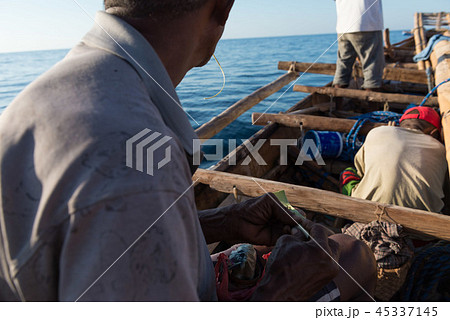 ラマレラ村　捕鯨 45337145