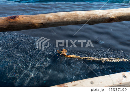 ラマレラ村　捕鯨 45337199