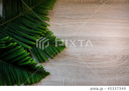 A Christmas tree . A Christmas tree . 45337349