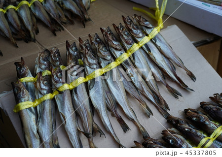 クルビ 韓国の干し魚 の写真素材