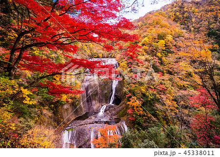 茨城県 袋田の滝 紅葉の写真素材