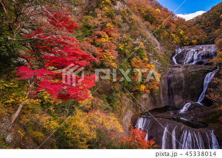 (茨城県)袋田の滝 紅葉 (茨城県)袋田の滝 紅葉 45338014