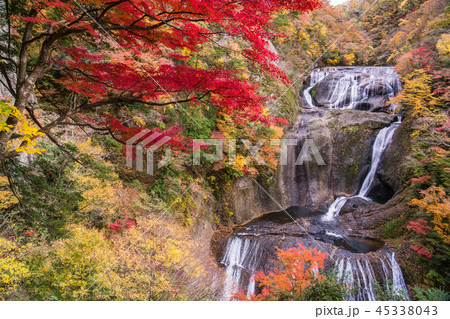 (茨城県)袋田の滝 紅葉 (茨城県)袋田の滝 紅葉 45338043
